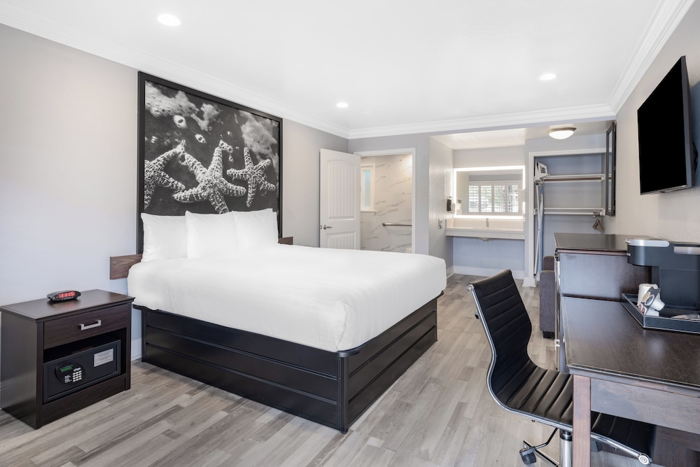 Basic Room, 1 King Bed, Accessible Bathtub, Sofabed not included photo 1