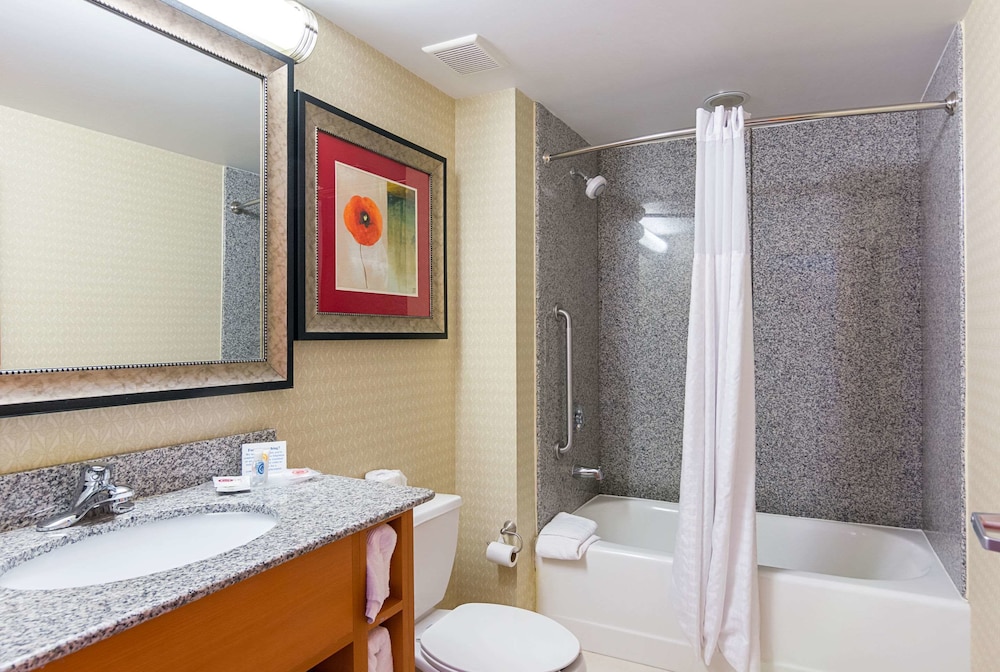 Comfort Suites At Virginia Center Commons, Billede 8
