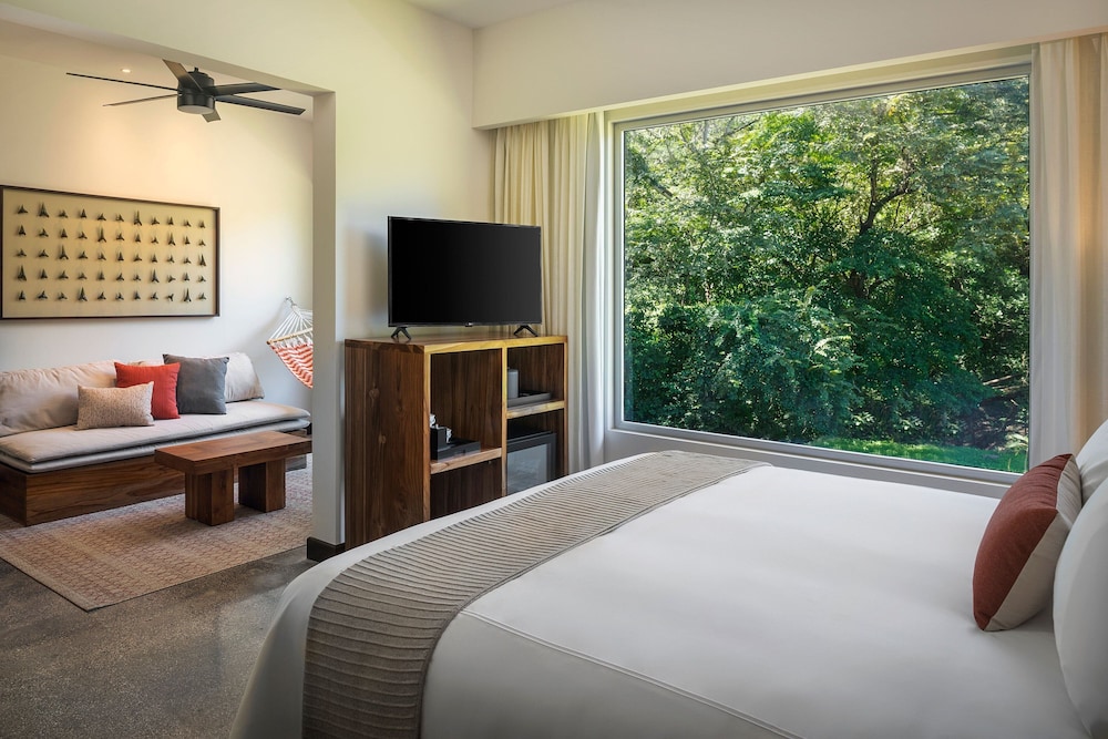 Suite, 1 King Bed photo 3