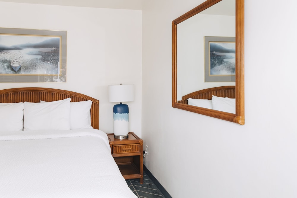 Room, 1 King Bed photo 3