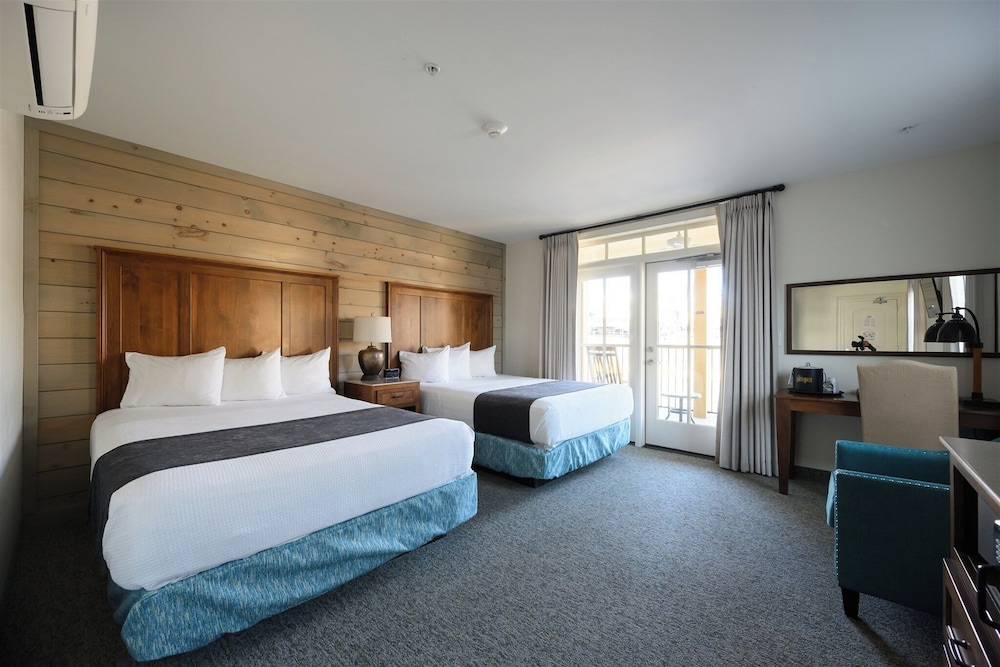 Comfort Room, 2 Queen Beds photo 3