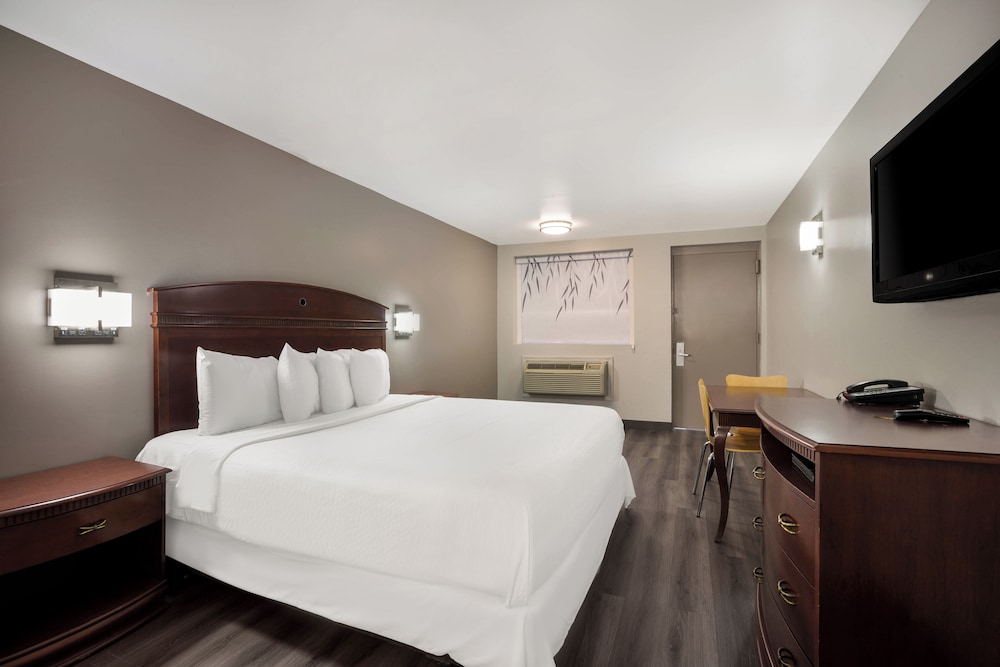 Standard Single Room photo 2
