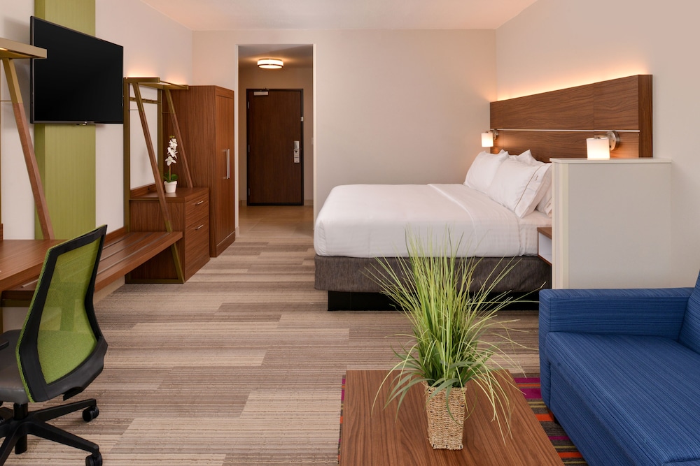 Suite, 1 King Bed photo 1