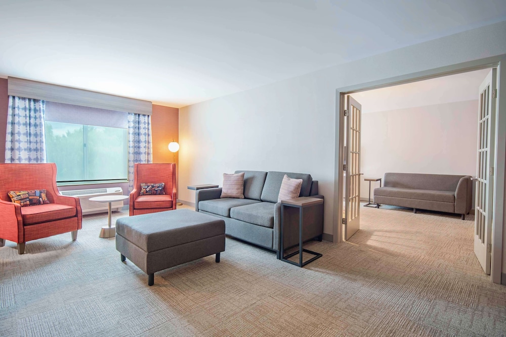 Suite, 1 King Bed photo 1