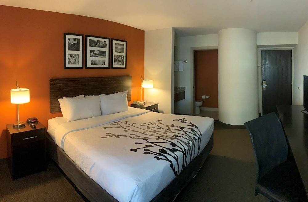 Business Room, 1 King Bed, Non Smoking - Photo 2