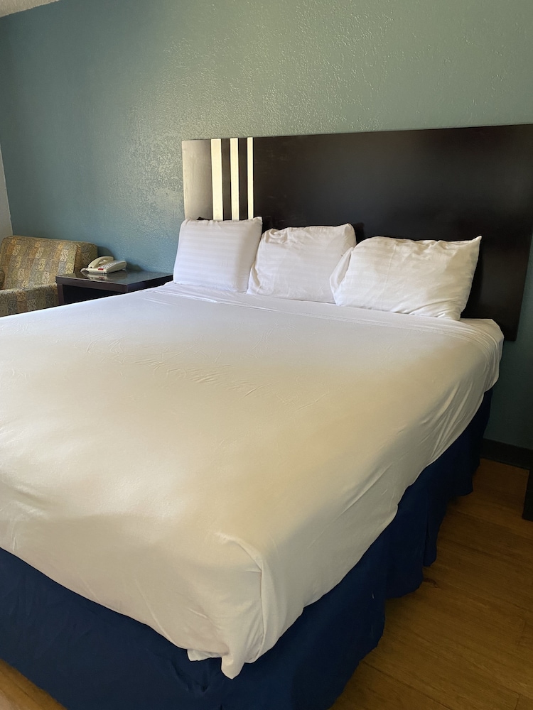 Basic Single Room photo 1