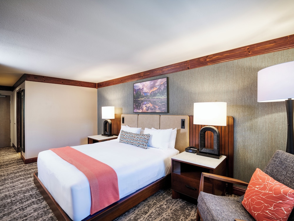 Premium Room, 1 King Bed, Patio photo 3
