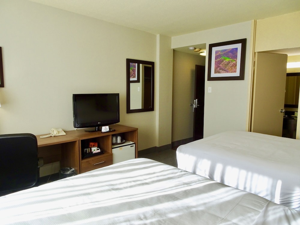 Quadruple Room, 2 Queen Beds - Photo 9