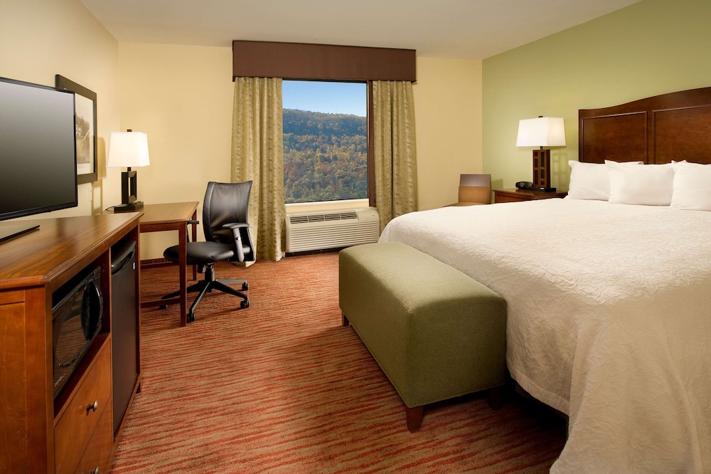Room, 1 King Bed photo 2