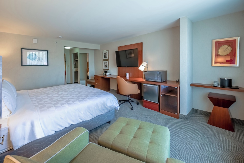Standard Room, 1 King Bed, City View