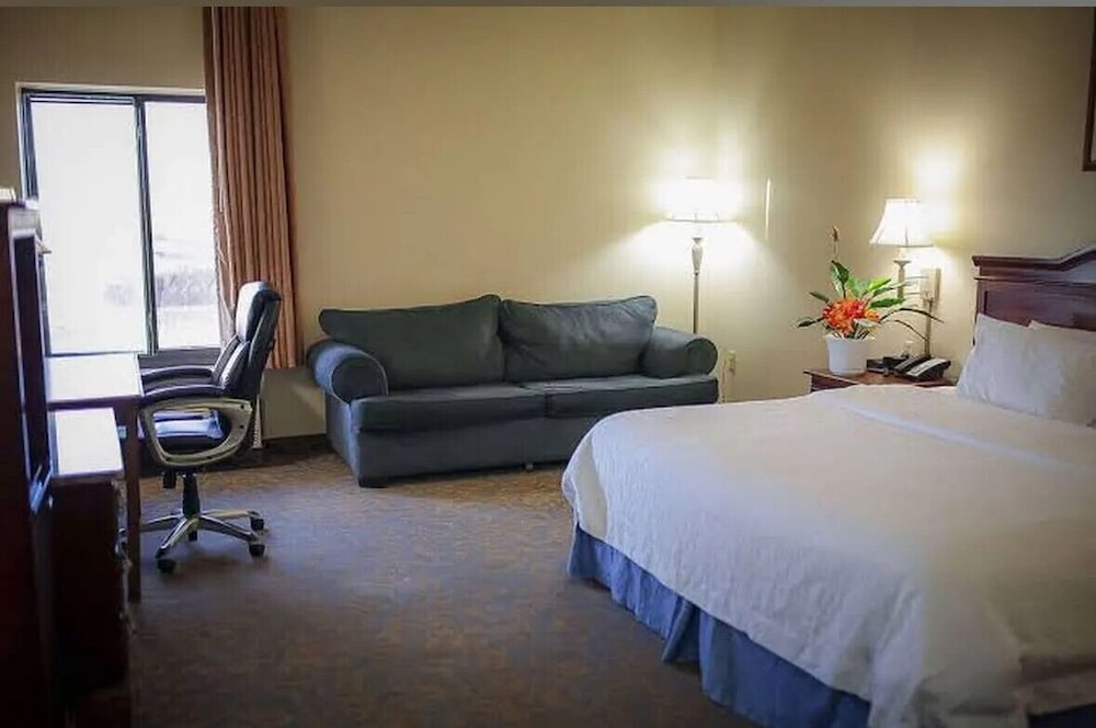 Basic Single Room photo 1