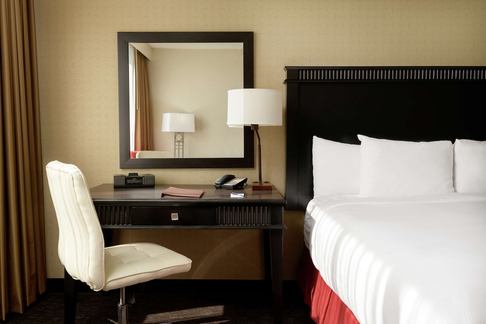 Deluxe Suite, 1 King Bed photo 1