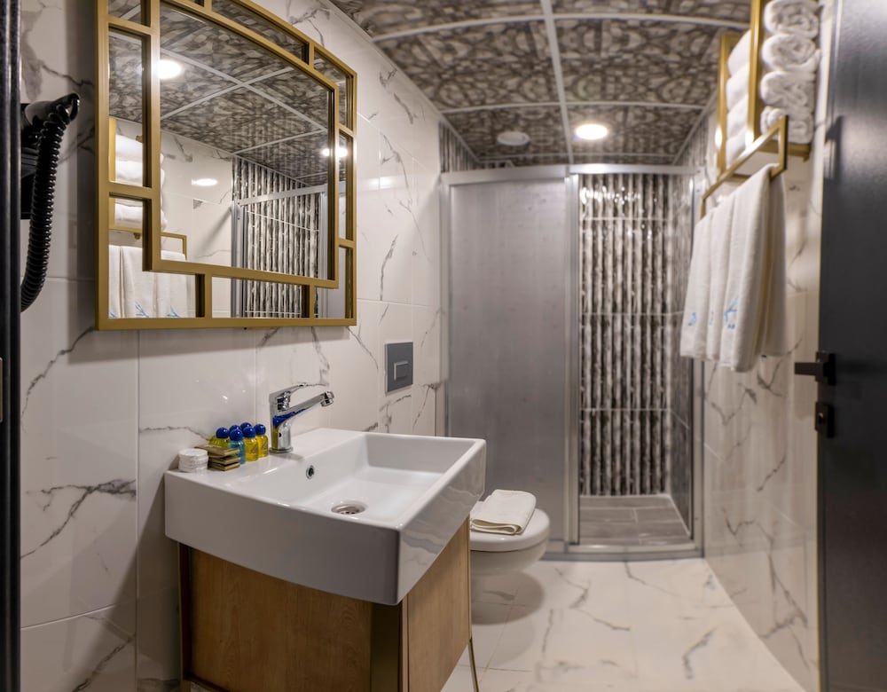 Deluxe Double or Twin Room photo 3
