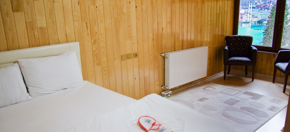 Room, 1 Bedroom, Smoking, Lake View photo 3