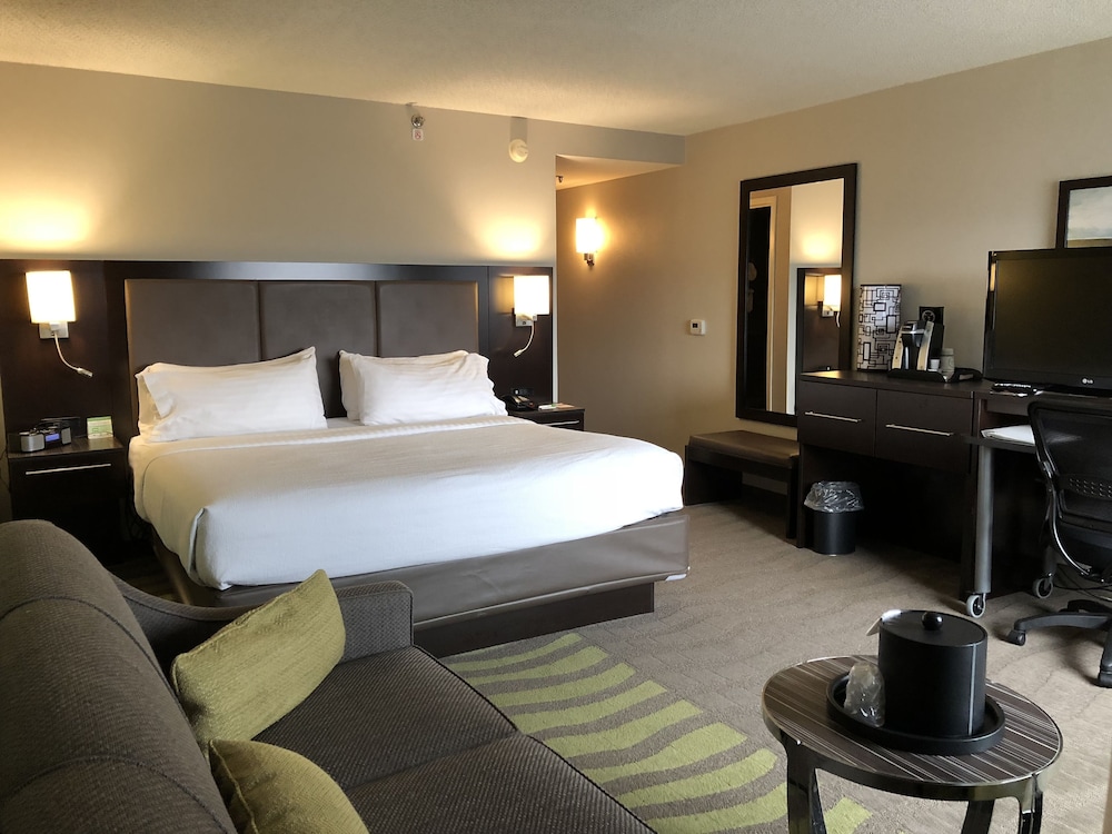 Standard Room, 1 King Bed with Sofa bed, Accessible