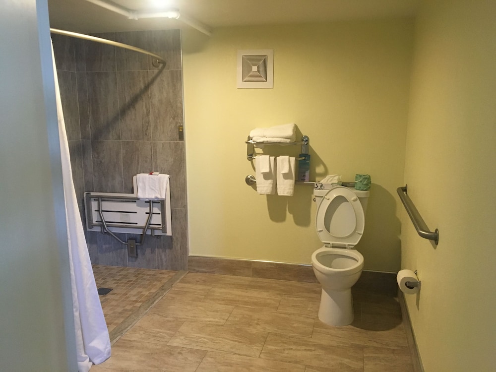 Studio Suite, 1 King Bed, Non Smoking - Photo 5