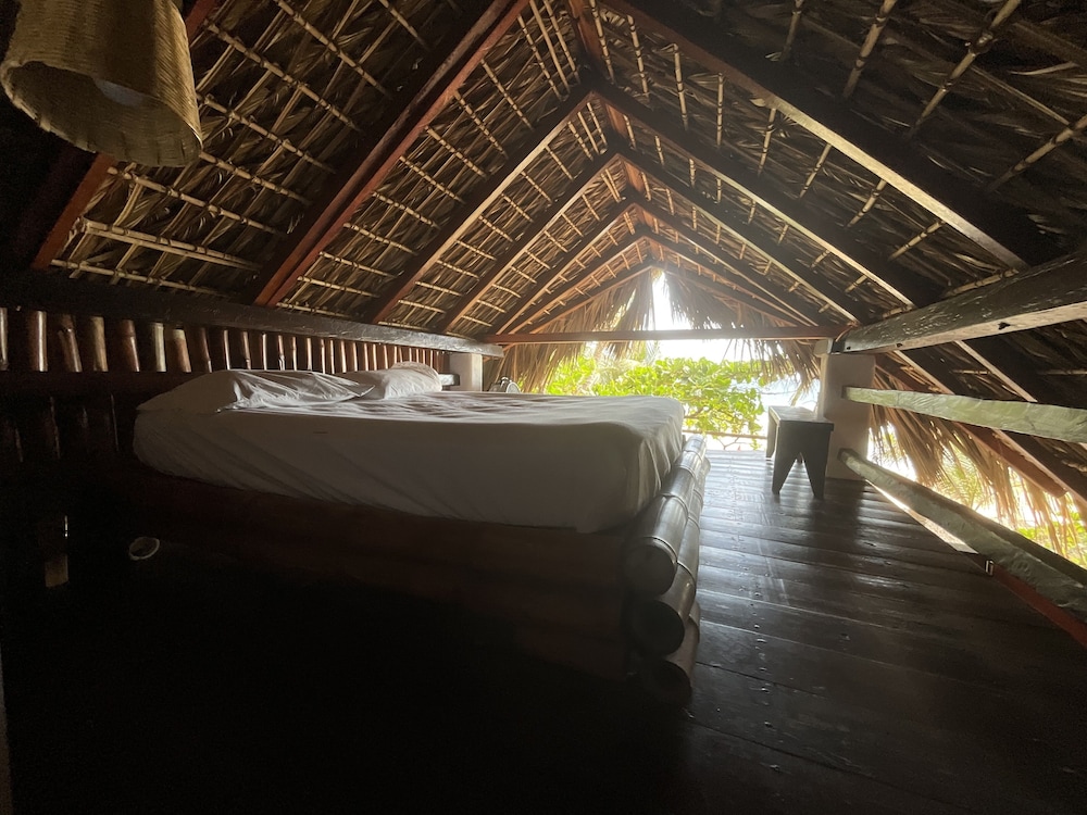 Palapa - Photo 8