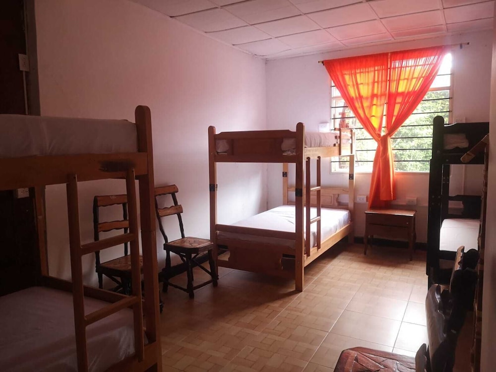 Basic Shared Dormitory photo 1