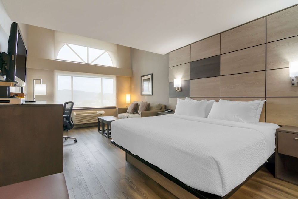 Standard Room, 1 King Bed, Refrigerator & Microwave, Mountain View (with Sofabed) - Photo 1