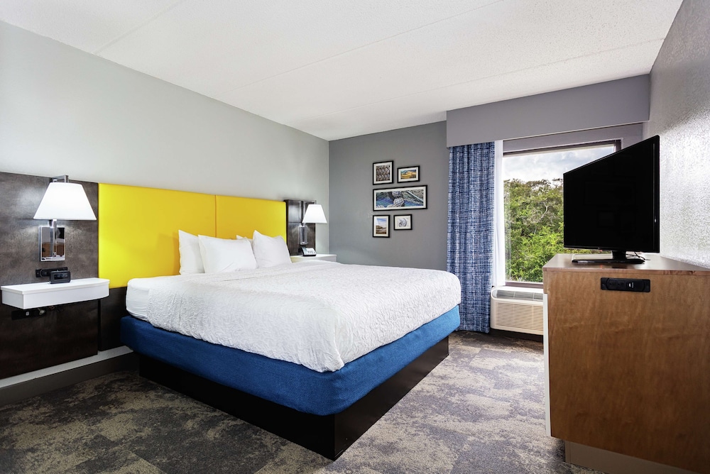 Suite, 1 King Bed with Sofa bed, Accessible (Hearing Impaired with Sofa and Shower) - Photo 4