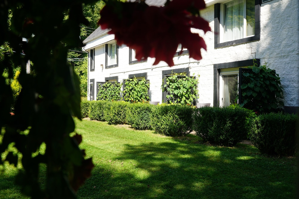 Traditional Double Room, Patio photo 3