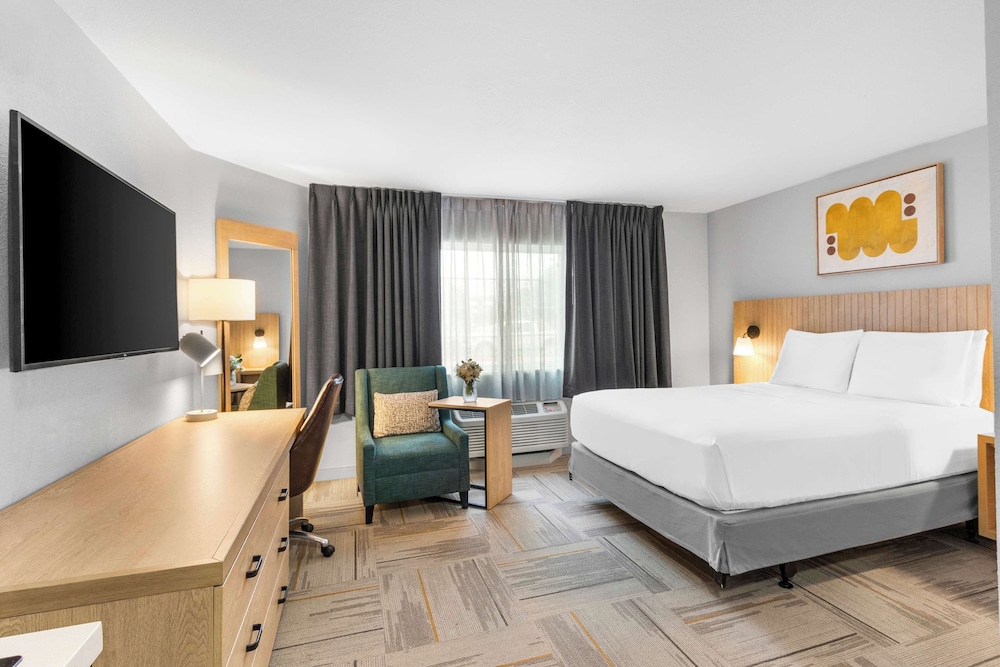 Suite, 1 King Bed (One Bedroom) - Photo 1