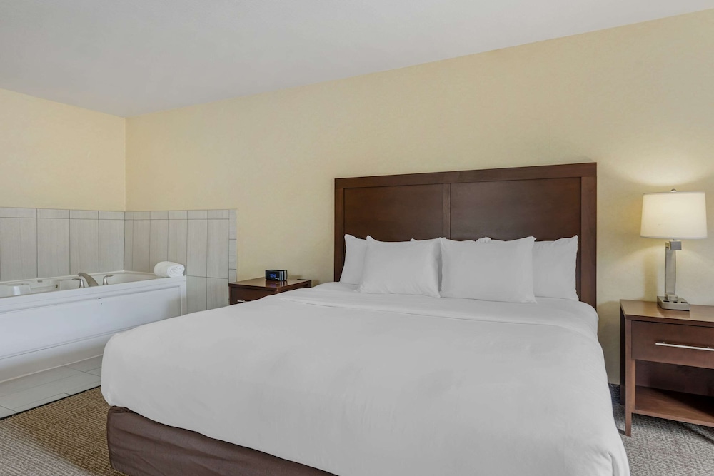 Suite, 1 King Bed with Sofa bed, Accessible, Non Smoking - Photo 1