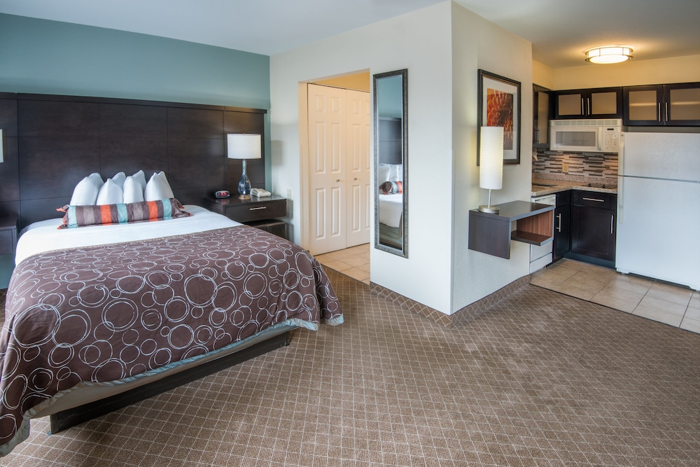 Studio Suite, 1 Queen Bed, Accessible, Kitchen (Accessible Tub) - Photo 6
