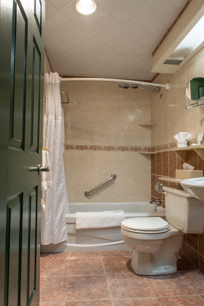 Standard Room, 1 King Bed, Non Smoking, Fireplace - Photo 7