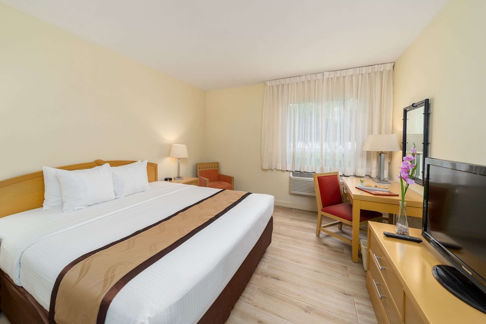 Standard Room, 1 King Bed, Non Smoking - Photo 18