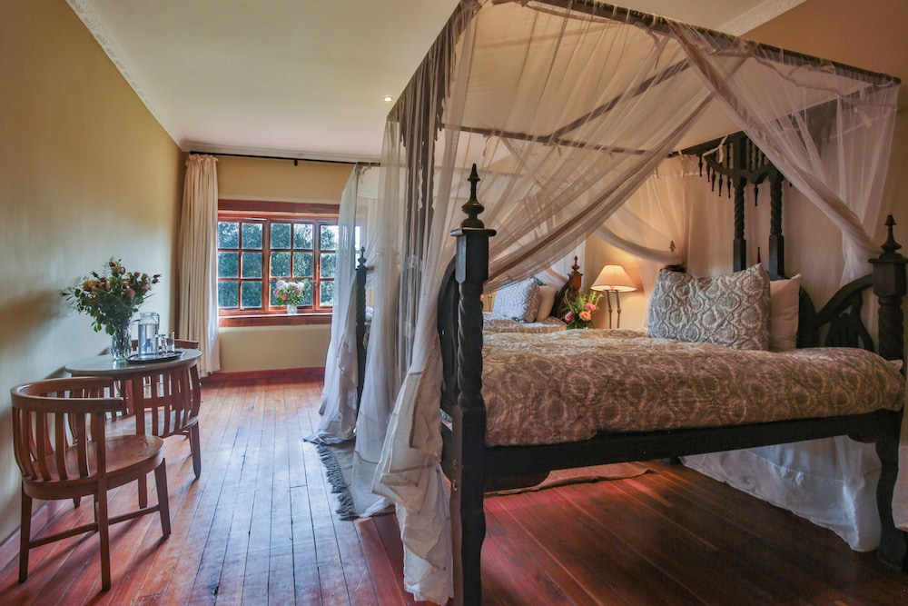 Elite Room photo 2