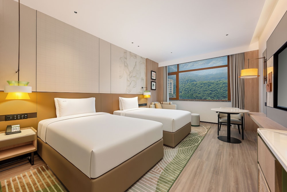 2 Double Beds Standard Mountain View