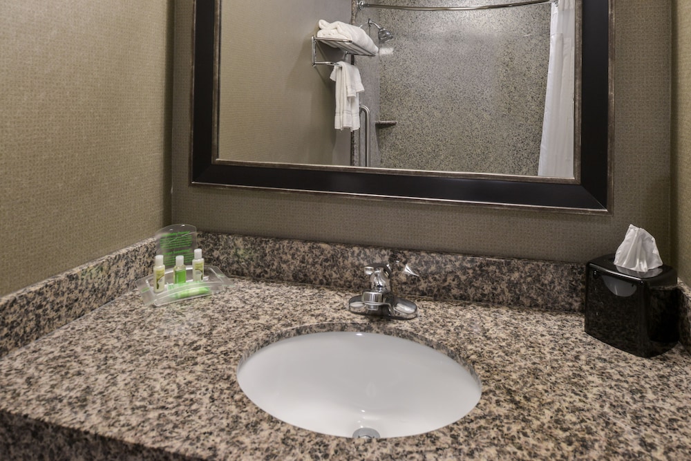Suite, 1 King Bed, Accessible (Mobility, Roll-In Shower) photo 1