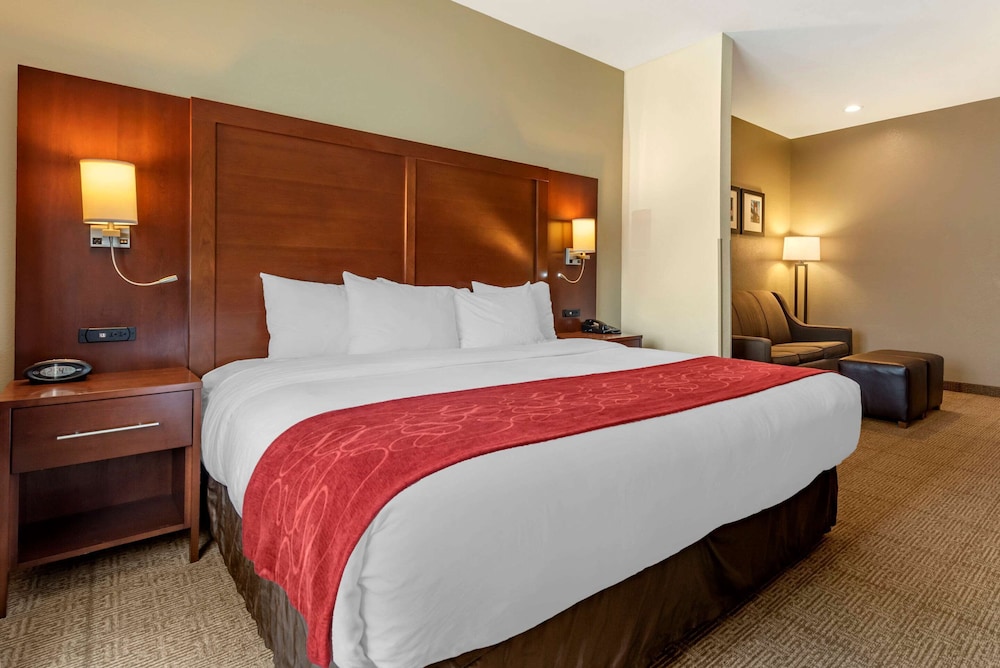 Suite, 1 King Bed, Non Smoking - Photo 4
