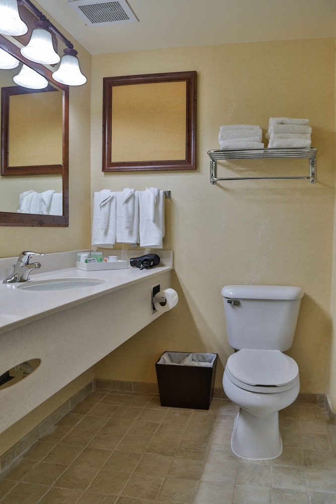 Luxury Room, 1 King Bed, Accessible, City View photo 3