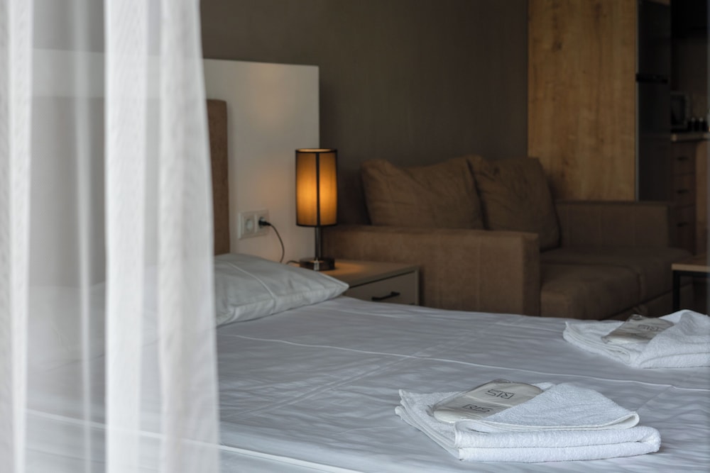 Classic Suite, 1 Queen Bed With Sofa Bed, Mountain View photo 3
