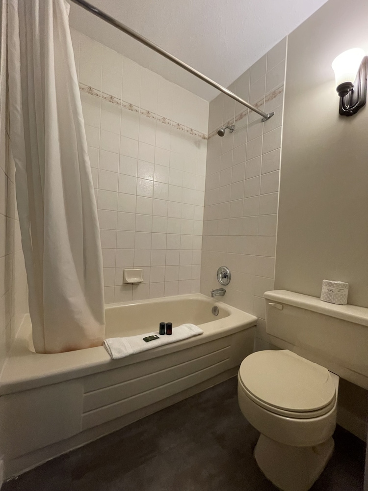 Standard Single Room photo 3