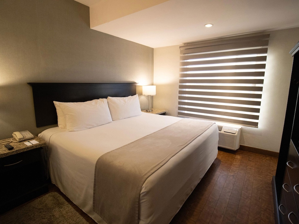 Executive Single Room, 1 King Bed - Photo 2
