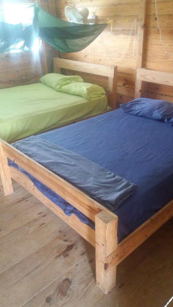 Standard Cabin, Multiple Beds photo 1