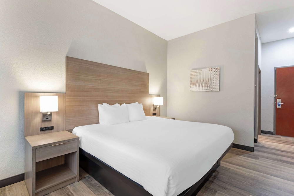 Standard Room, 1 King Bed, Non Smoking, Refrigerator & Microwave (Walk-in Shower) photo 1