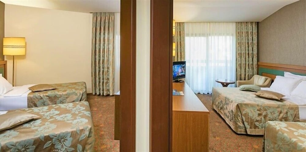 Standard Room, Mountain View