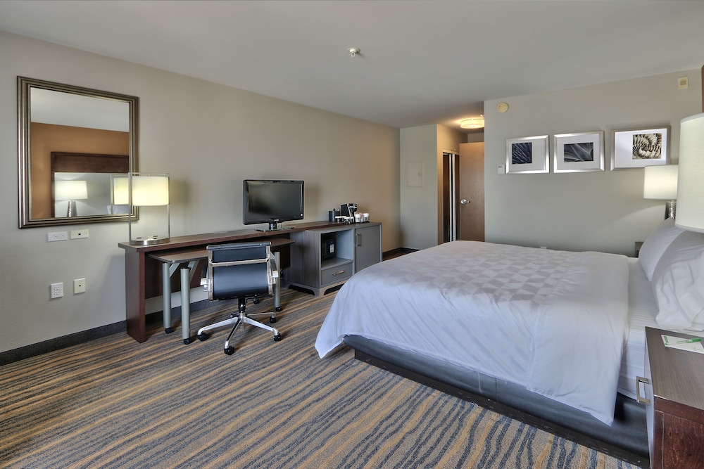 Standard Room, 1 King Bed, Accessible (Mobility, Accessible Tub) - Photo 1