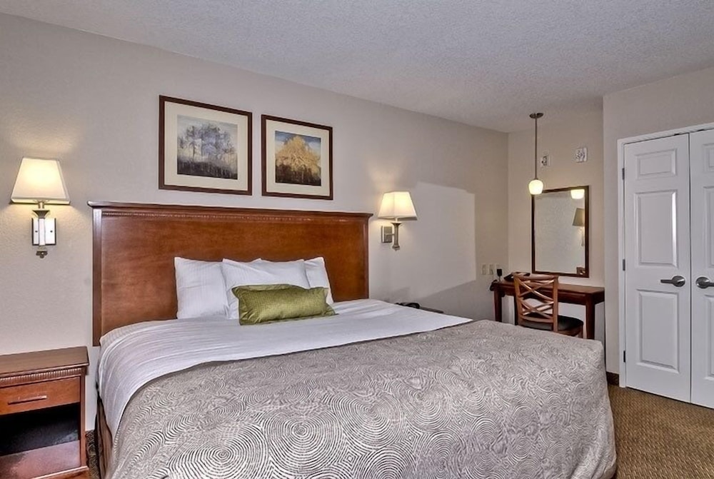 Suite, 1 Bedroom - Photo 5