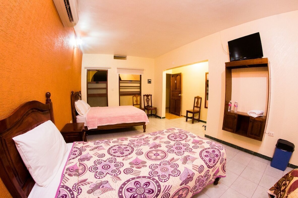 Room, Multiple Beds
