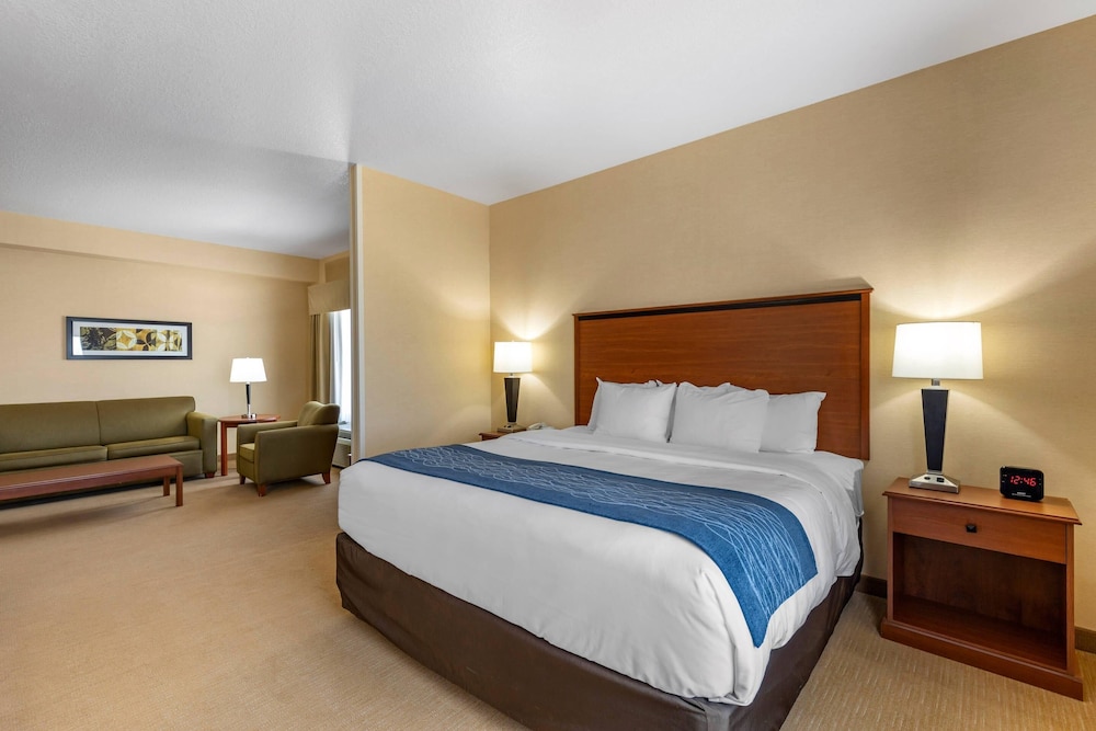 Suite, 1 King Bed with Sofa bed, Non Smoking - Photo 1