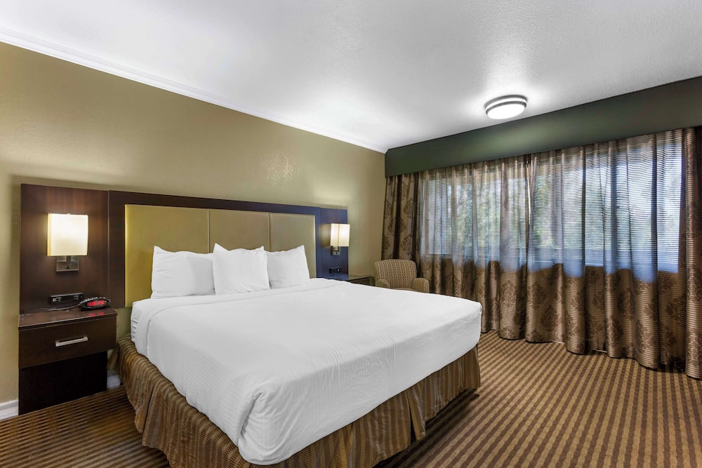 Suite, 1 King Bed, Accessible photo 2