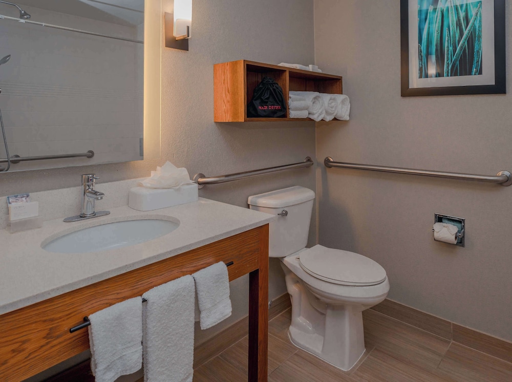 Suite, 1 King Bed, Accessible (Mobility & Hearing, Roll-in Shower) - Photo 7