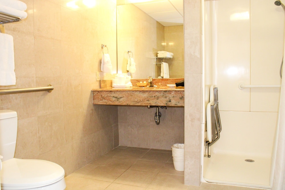 Room, 1 Queen Bed, Mobility Accessible, Courtyard View photo 2
