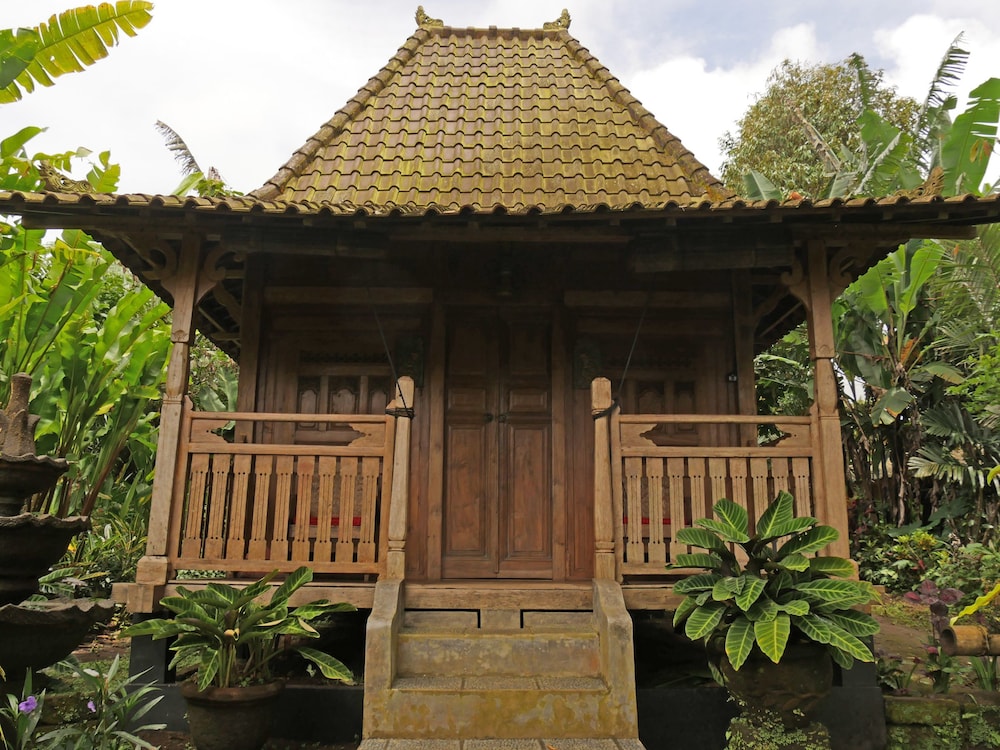 Superior Bungalow photo 2