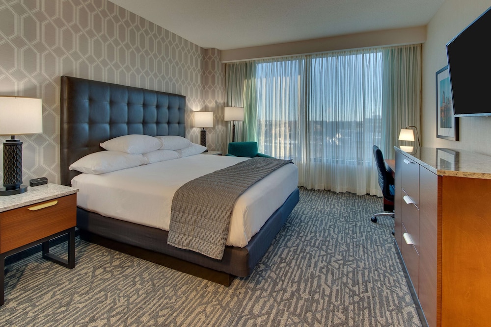 Suite, 1 King Bed with Sofa bed, Refrigerator & Microwave (2 Rooms) - Photo 3